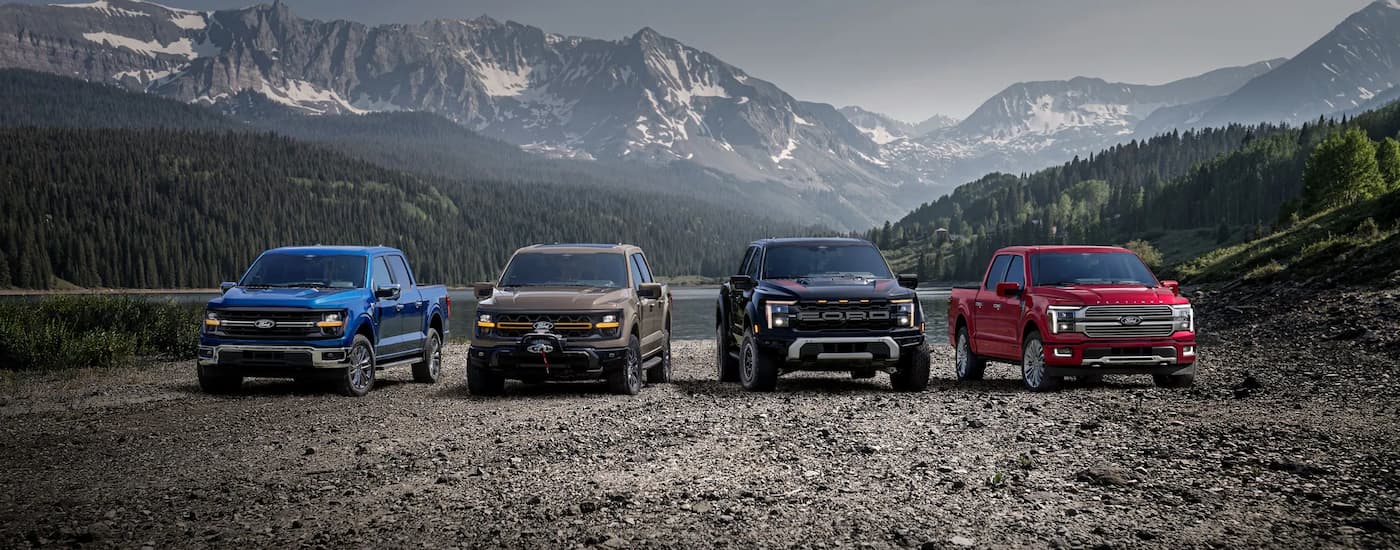 The 2025 Ford F-150 lineup parked on gravel.